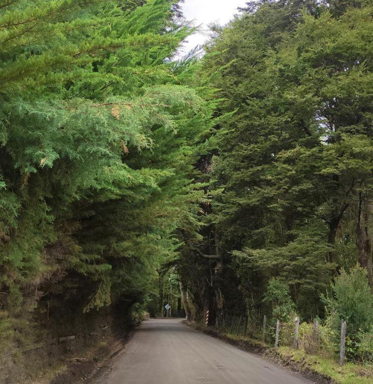 Cabana Ensenada, Puerto Varas - 1 Ambiente ภายนอก รูปภาพ